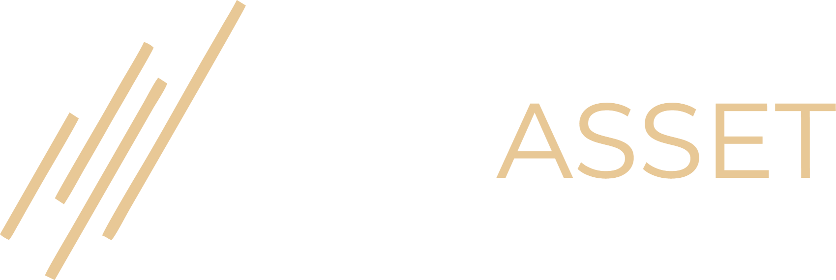 MTG ASSET